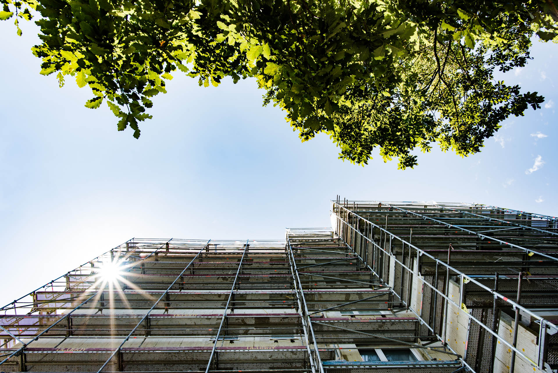 {{this.name Bild 3}}